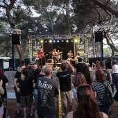 Concerts del Pinar