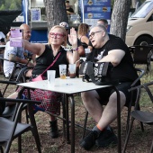 Concerts del Pinar