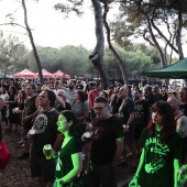 Concerts del Pinar