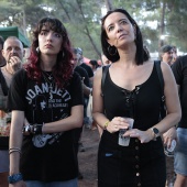 Concerts del Pinar