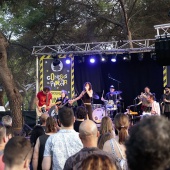 Concerts del Pinar