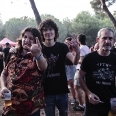 Concerts del Pinar