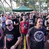 Concerts del Pinar