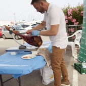 Regata Costa Azahar