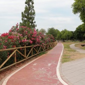 Ribera del Riu Sec