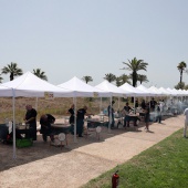 Paella Valenciana de Sueca