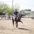 Castellón, doma caballos en Hípica Castellón