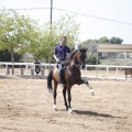 Castellón, doma caballos en Hípica Castellón