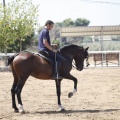 Castellón, doma caballos en Hípica Castellón