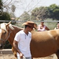 Castellón, doma caballos en Hípica Castellón