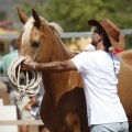 Castellón, doma caballos en Hípica Castellón