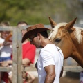 Castellón, doma caballos en Hípica Castellón