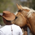 Castellón, doma caballos en Hípica Castellón