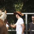 Castellón, doma caballos en Hípica Castellón