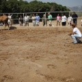 Castellón, doma caballos en Hípica Castellón
