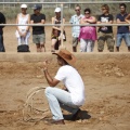 Castellón, doma caballos en Hípica Castellón