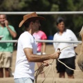 Castellón, doma caballos en Hípica Castellón