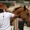 Castellón, doma caballos en Hípica Castellón