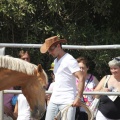 Castellón, doma caballos en Hípica Castellón