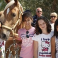 Castellón, doma caballos en Hípica Castellón
