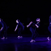XXV Cita con la Danza