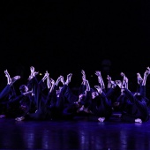 XXV Cita con la Danza