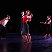 XXV Cita con la Danza