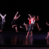 XXV Cita con la Danza