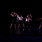 XXV Cita con la Danza