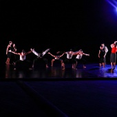 XXV Cita con la Danza