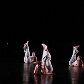 XXV Cita con la Danza