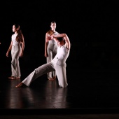 XXV Cita con la Danza