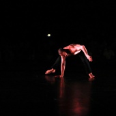 XXV Cita con la Danza