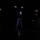 XXV Cita con la Danza