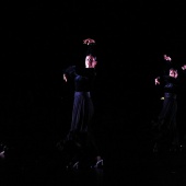 XXV Cita con la Danza