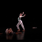 XXV Cita con la Danza