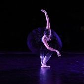 XXV Cita con la Danza