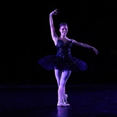XXV Cita con la Danza