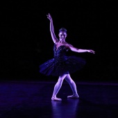 XXV Cita con la Danza