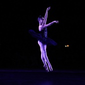 XXV Cita con la Danza