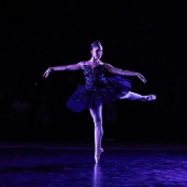 XXV Cita con la Danza
