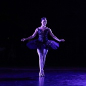 XXV Cita con la Danza