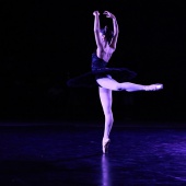 XXV Cita con la Danza