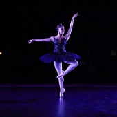 XXV Cita con la Danza