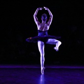 XXV Cita con la Danza