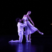XXV Cita con la Danza