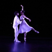 XXV Cita con la Danza