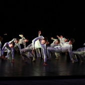 XXV Cita con la Danza