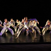 XXV Cita con la Danza