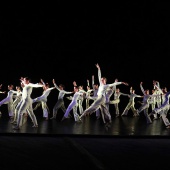 XXV Cita con la Danza